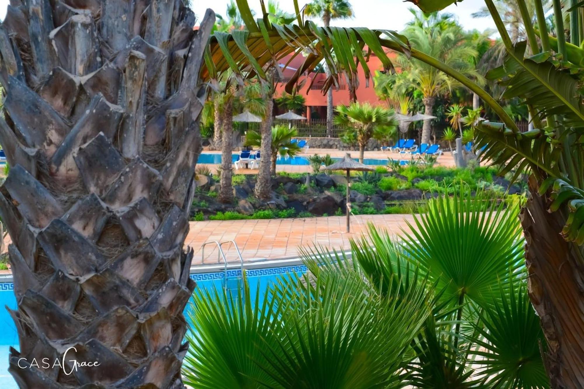 Tamarindo 1 Casa Grace Wifi Free Pool View By Rentalfue Κοραλέχο Εξωτερικό φωτογραφία